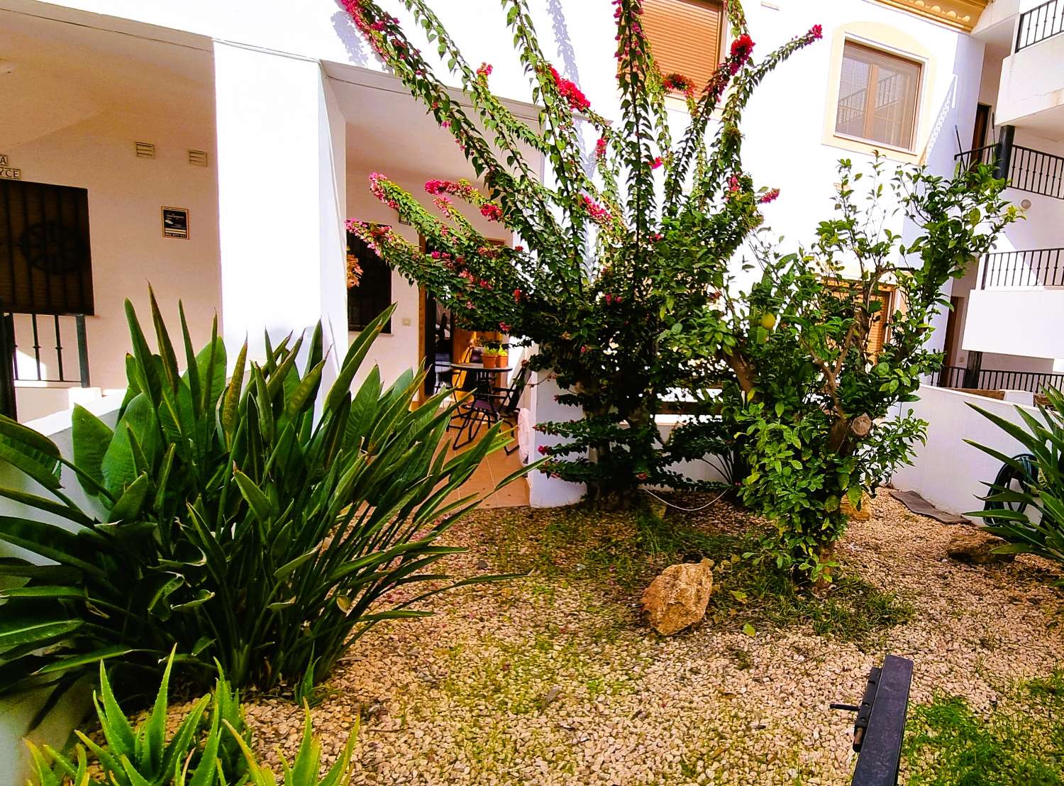 Bajo de 2 dormitorios en Flor del Coto