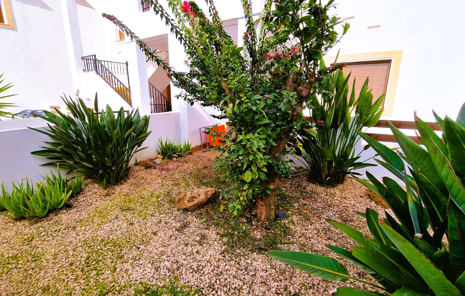 Bajo de 2 dormitorios en Flor del Coto