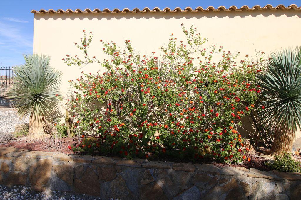 Casa en venta en Albox