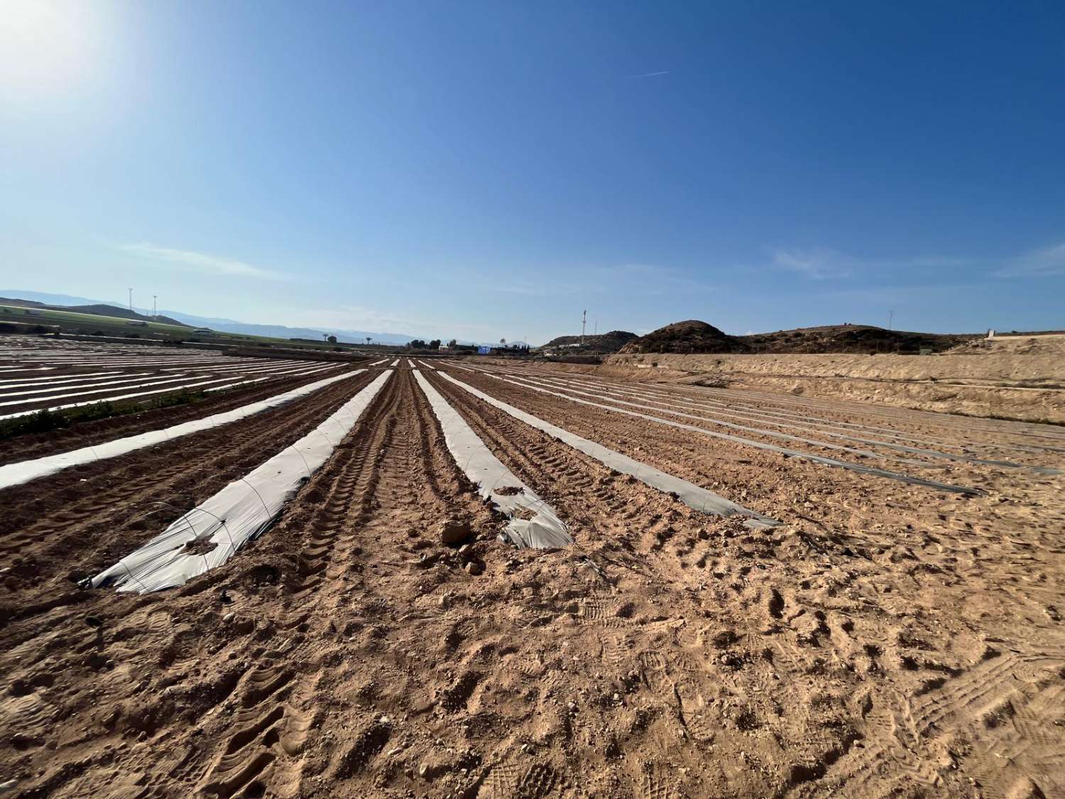 Ferme irriguée à Antas 70 000 m2