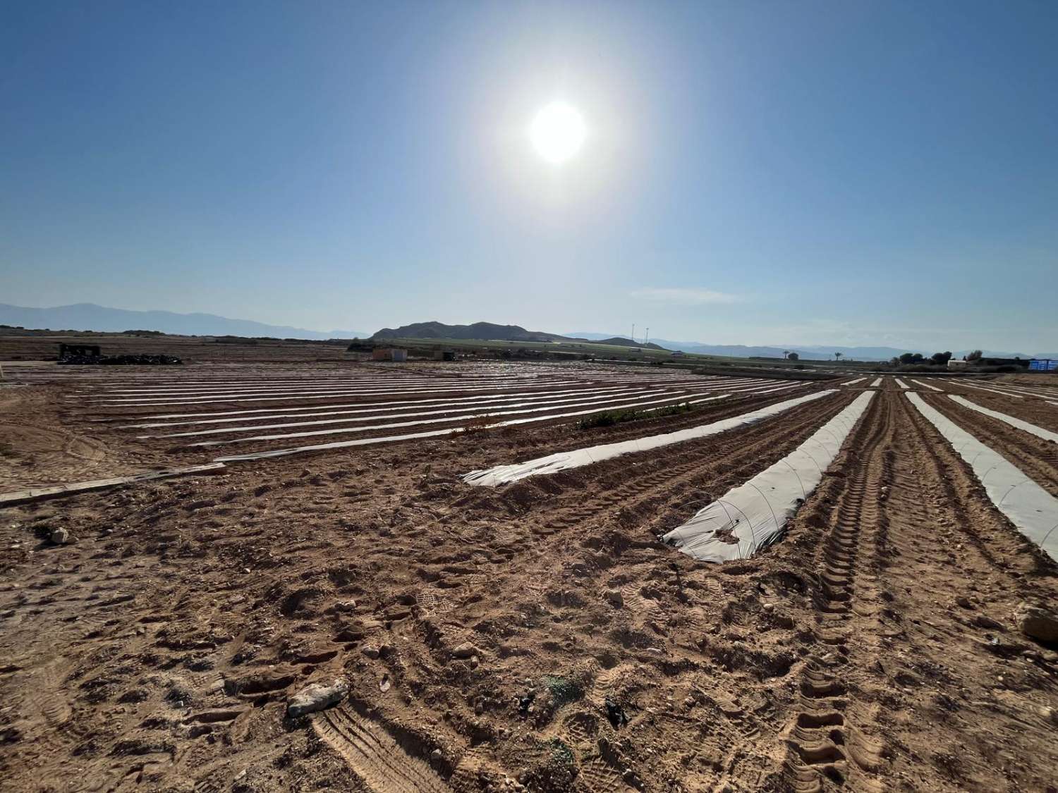 Ferme irriguée à Antas 70 000 m2