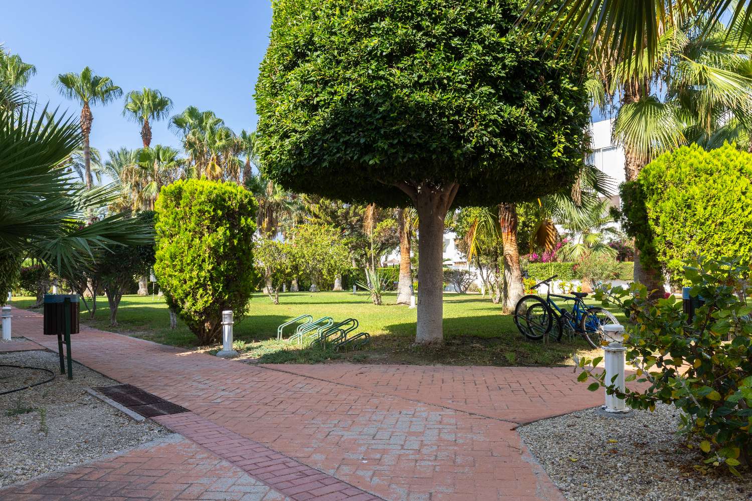 Apartamento en planta baja de 3 dormitorios