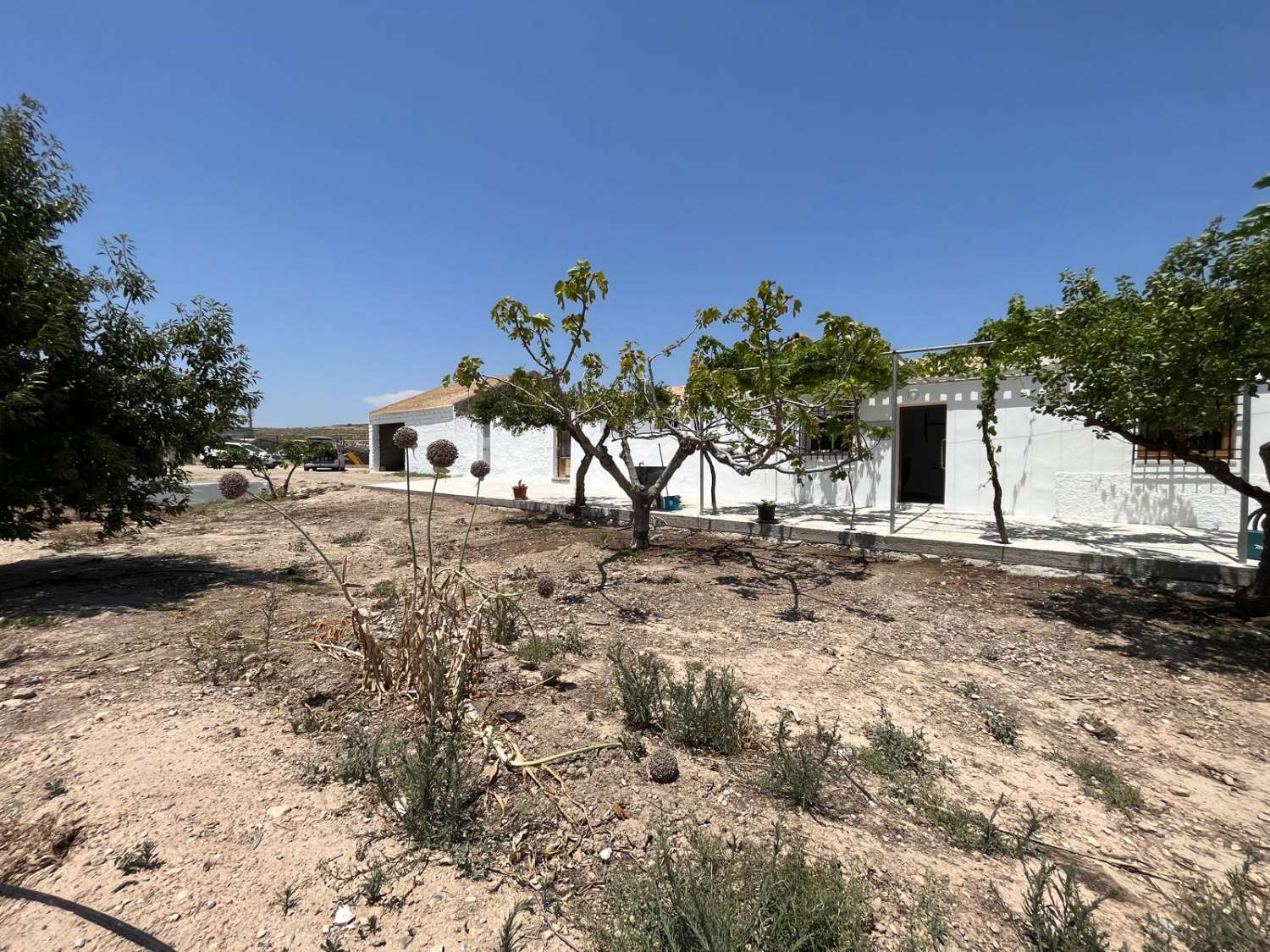 Casa de campo de 4 dormitorios  en Palomares