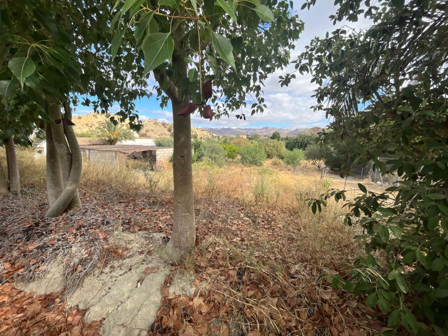Maison troglodyte de 5 chambres à Cuevas del Almanzora