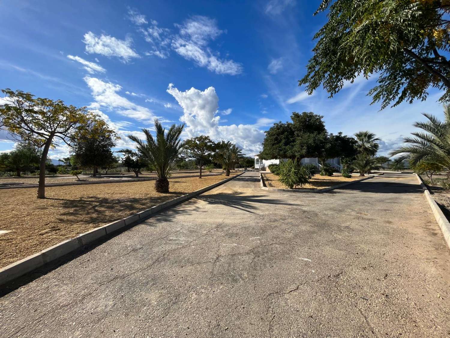 Villa individuelle de 4 chambres à Vera