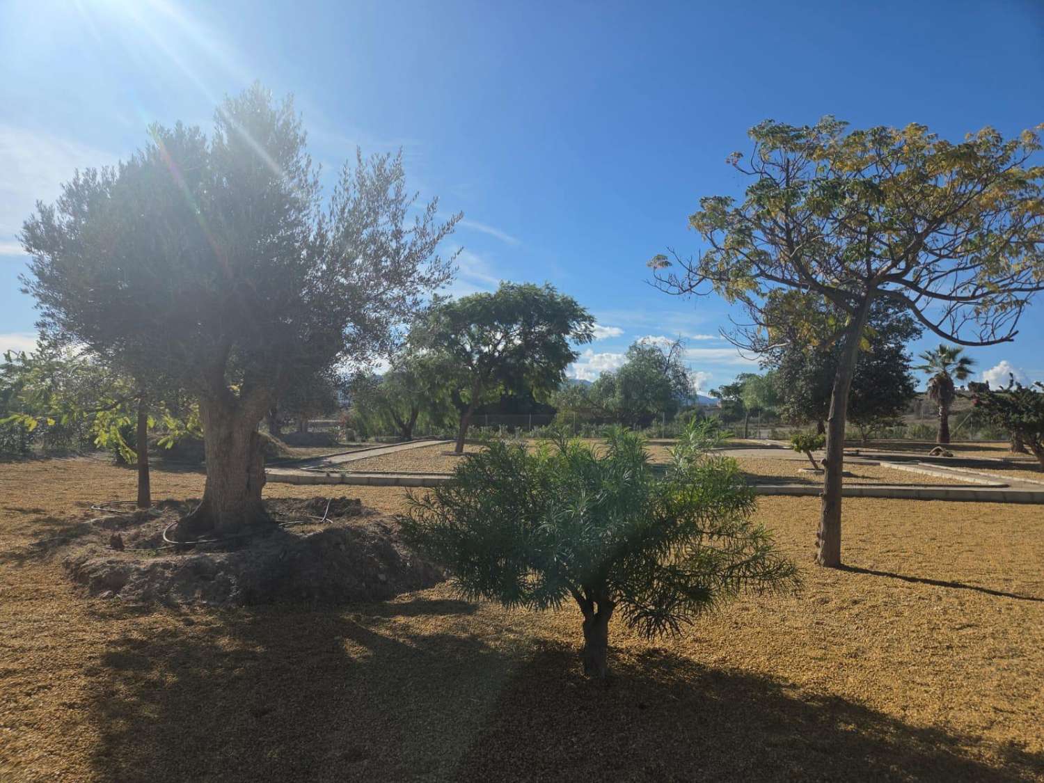 Villa individuelle de 4 chambres à Vera