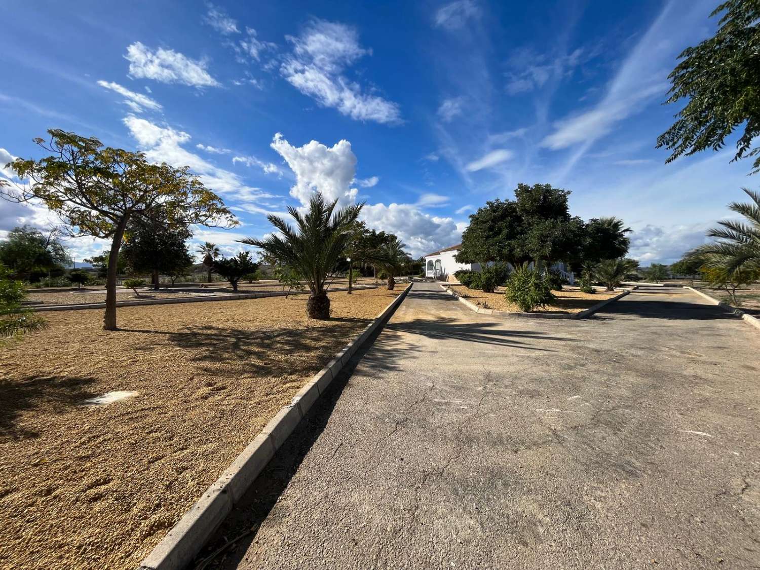 Villa individuelle de 4 chambres à Vera