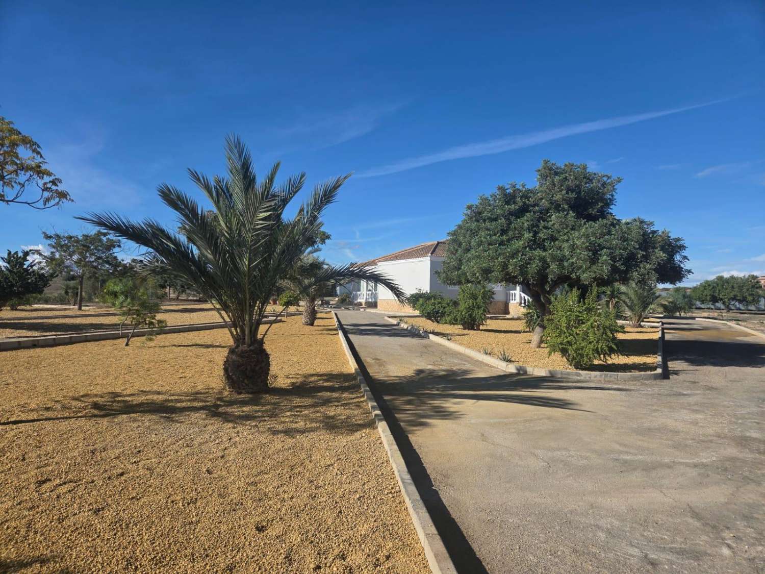 Villa individuelle de 4 chambres à Vera