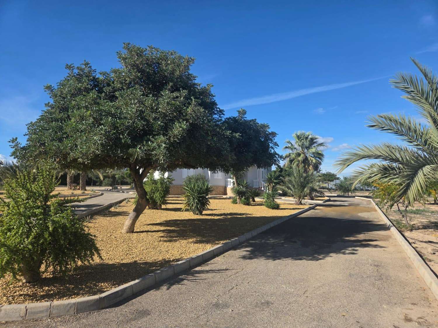 Villa individuelle de 4 chambres à Vera