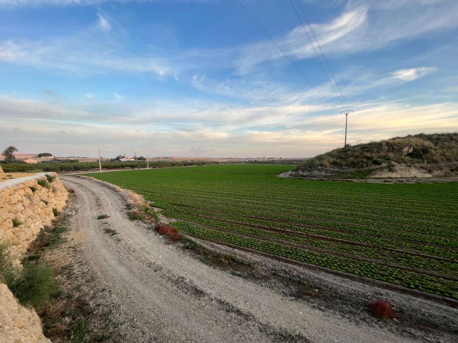 Casa de 2 dormitorios en el campo, Vera